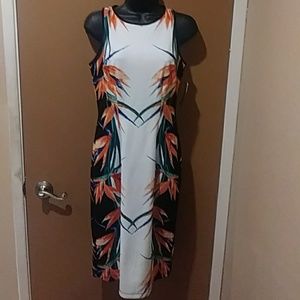 28. B2 En Focus Studio Dress sz 4